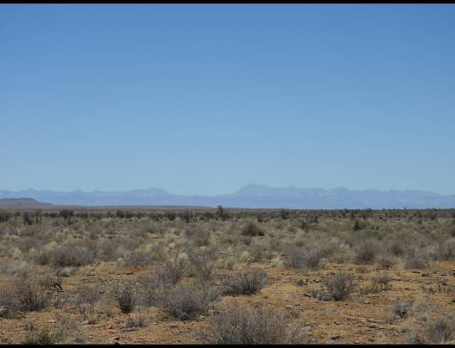 2,363HA FARM FOR SALE IN MERWEVILLE